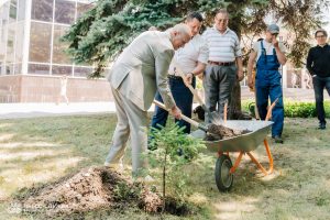 Kremlin Spruce planted at Vernadsky CFU