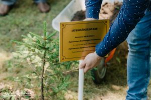 Kremlin Spruce planted at Vernadsky CFU